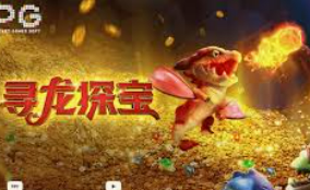 女王赏金赚钱app入口2024最新版